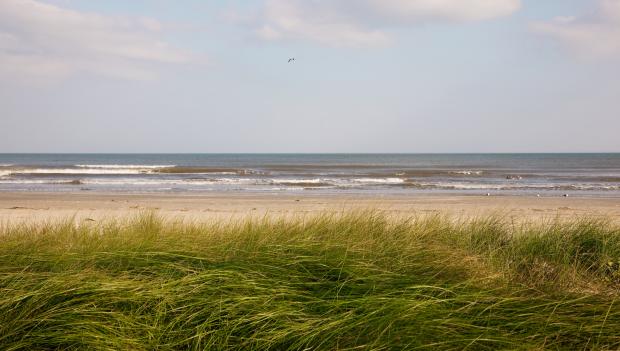 Galveston Beach